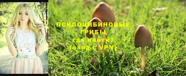 ешки Осташков
