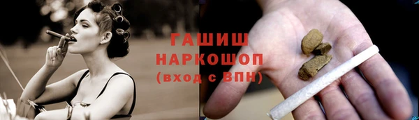 Альфа ПВП Няндома