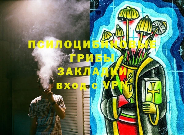 mix Осинники
