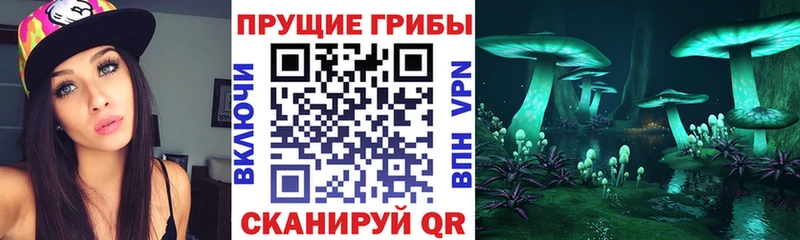 Псилоцибиновые грибы MAGIC MUSHROOMS  Ардон 